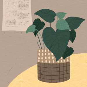 植物版画装饰画