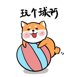 中华田园犬之光