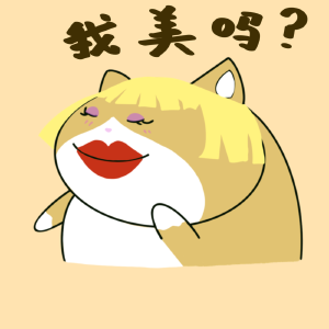 囧猫～～