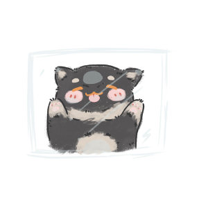 舔玻璃的小猫咪