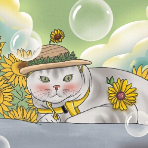 猫咪的休闲时光